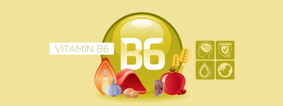 Vitamin B6 (Piridoksal-5-Fosfat) Hakkında Bilmeniz Gerekenler